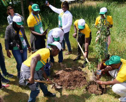 Die Delegation aus Togo pflanzt einen Baum.